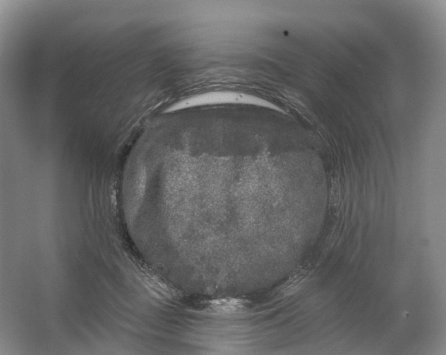 X0000064720363200602241648