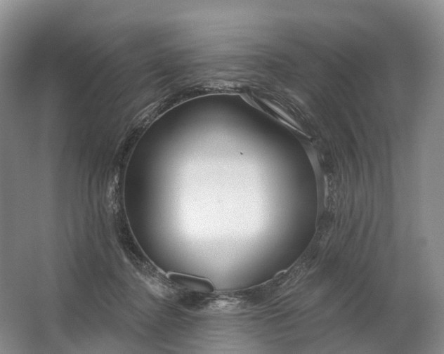 X0000064720364200602241648