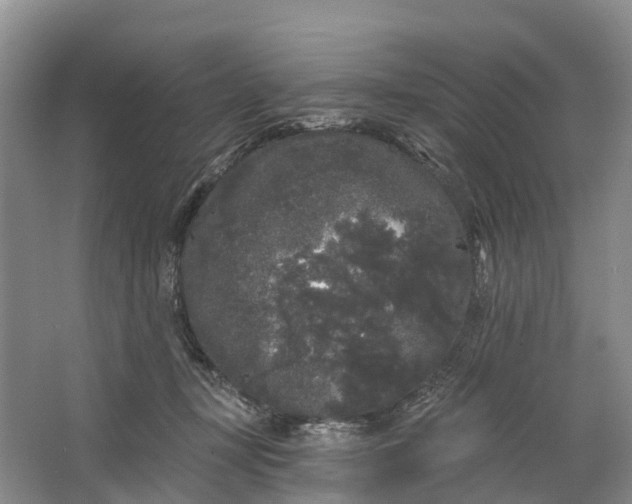 X0000064720367200602241648