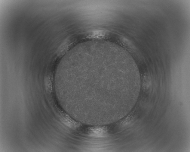 X0000064720370200602241648