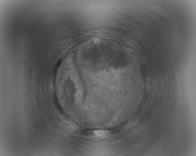 X0000064720371200602241649