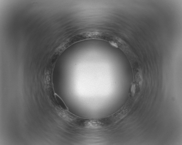 X0000064720372200602241649