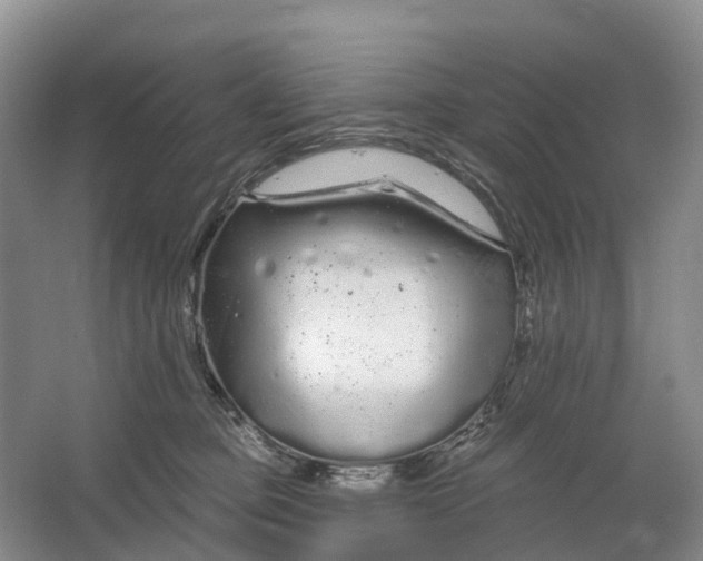 X0000064720373200602241649