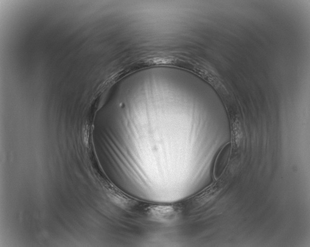 X0000064720374200602241649