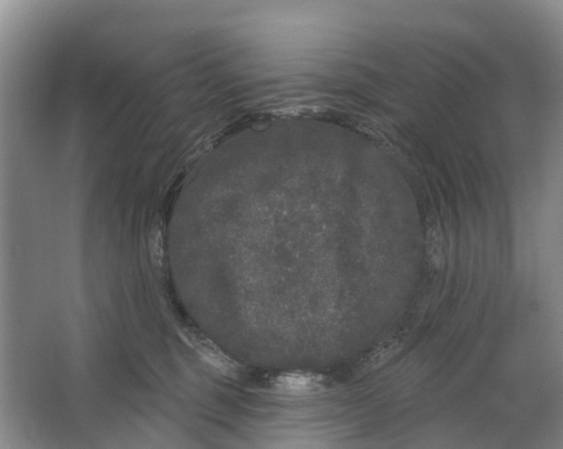 X0000064720375200602241649