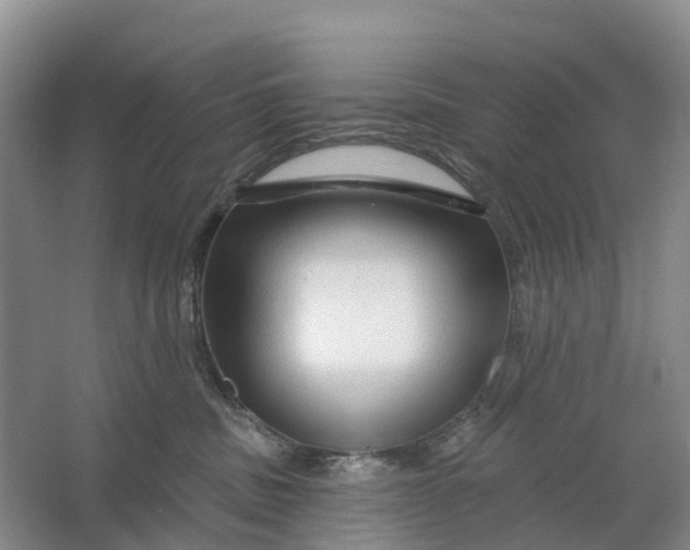 X0000064720379200602241649