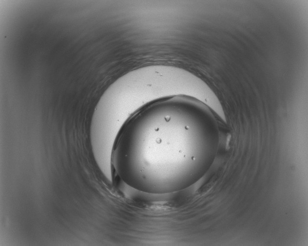 X0000064720380200602241649