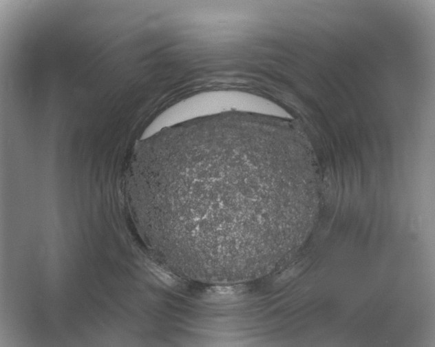 X0000064720381200602241649