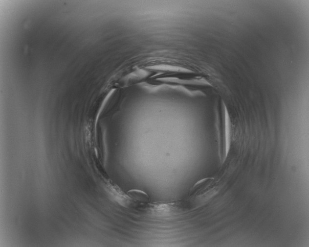 X0000064720382200602241649