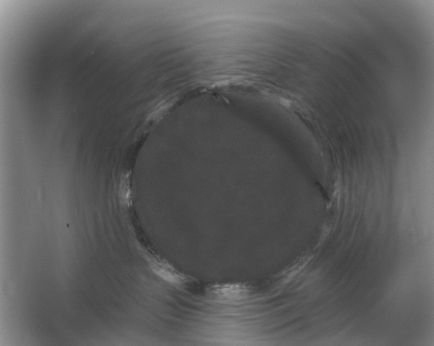 X0000064720383200602241649