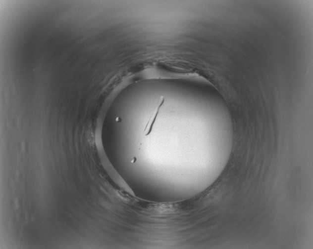 X0000064720384200602241649