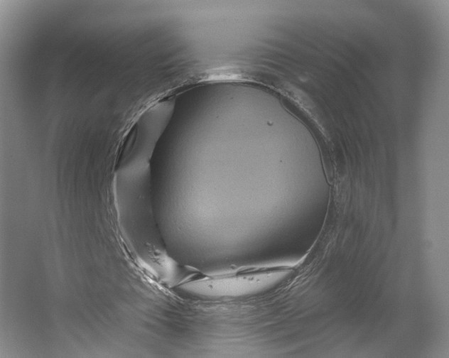 X0000064720385200602241648