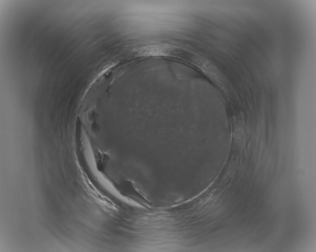 X0000064720386200602241648