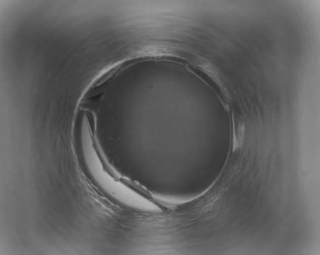 X0000064720387200602241648