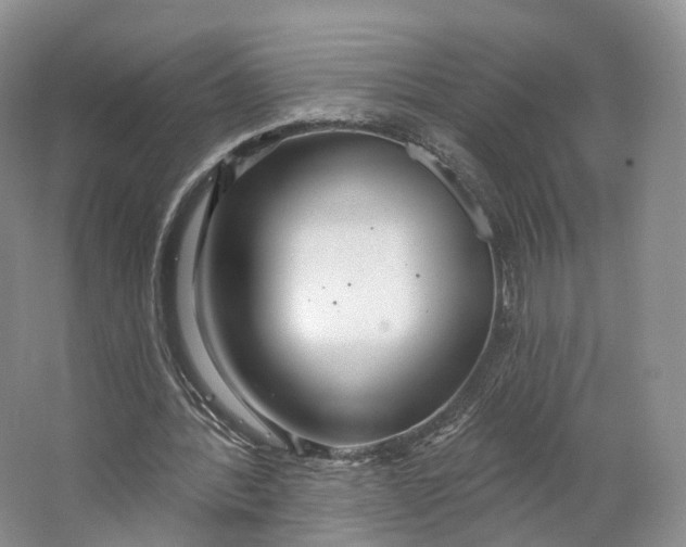 X0000064720388200602241648