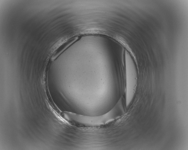 X0000064720389200602241648