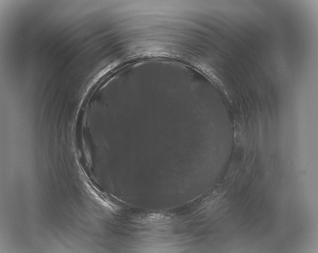 X0000064720390200602241648