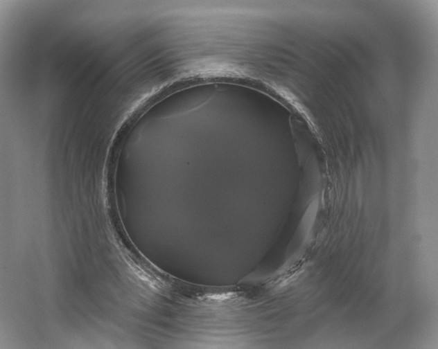 X0000064720391200602241647