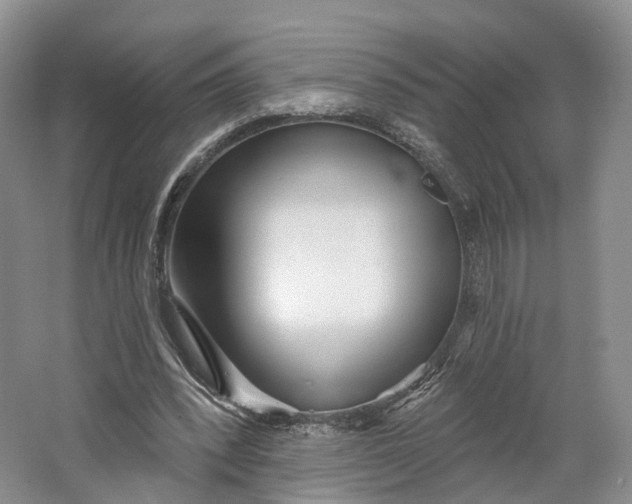 X0000064720392200602241647