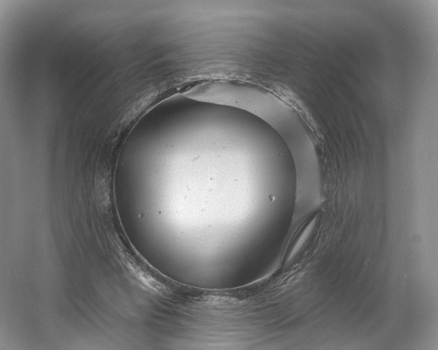 X0000064720393200602241647