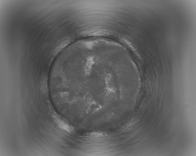 X0000064720394200602241647