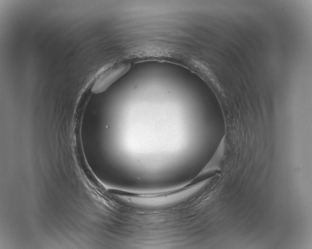 X0000064720395200602241647