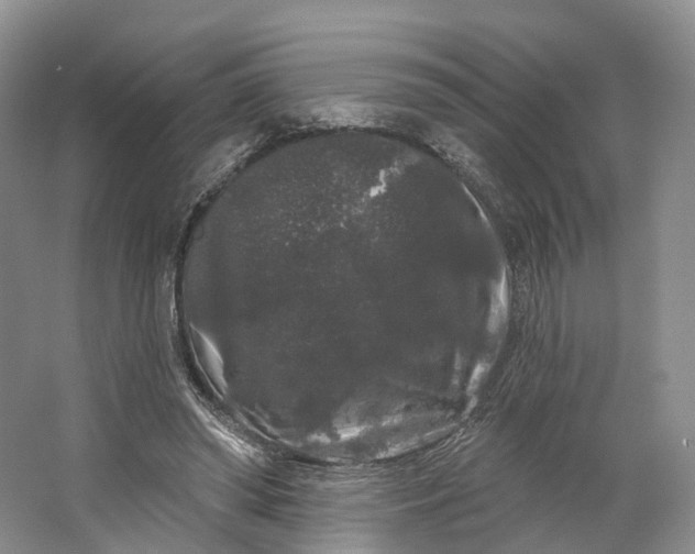 X0000064720398200602241647