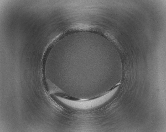 X0000064720399200602241647