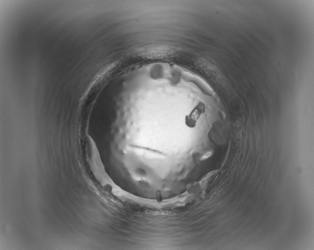 X0000064720400200602241647