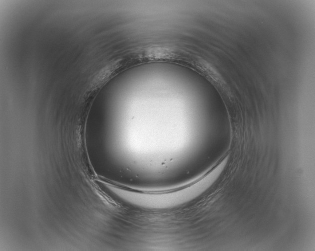 X0000064720401200602241647