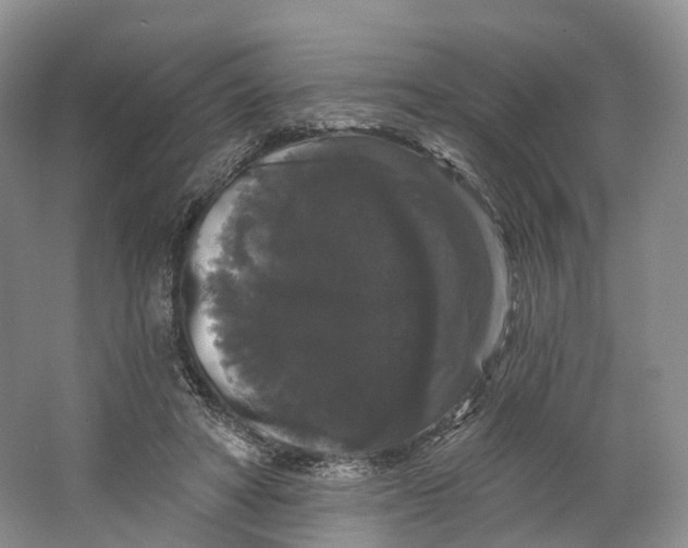 X0000064720402200602241647