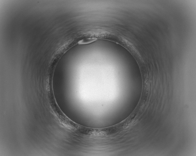 X0000064720403200602241647