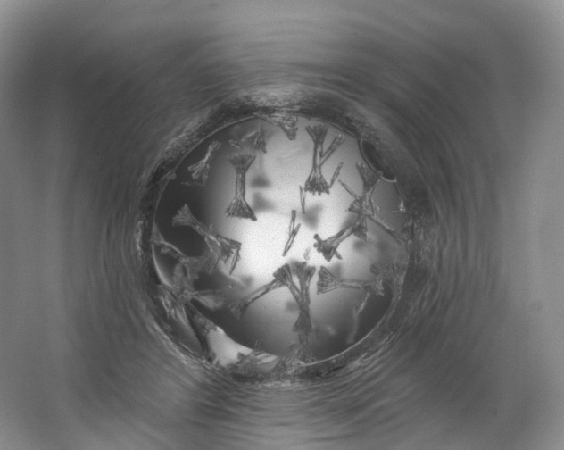 X0000064720404200602241647