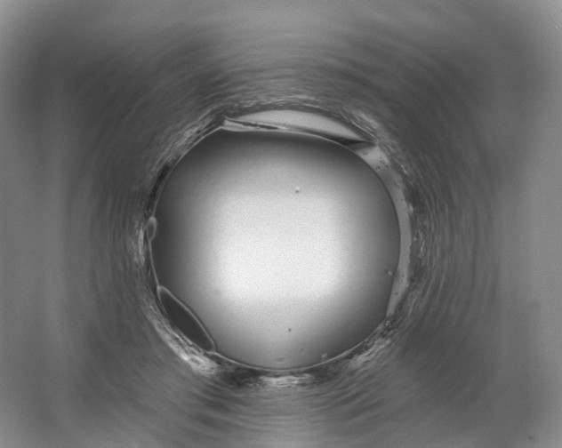 X0000064720405200602241647