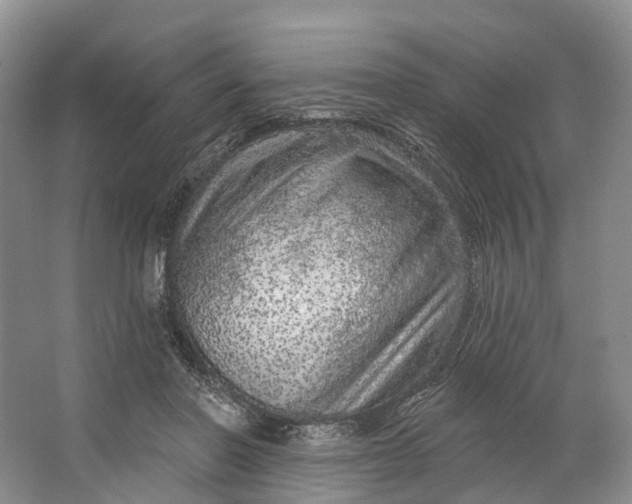 X0000064720406200602241647