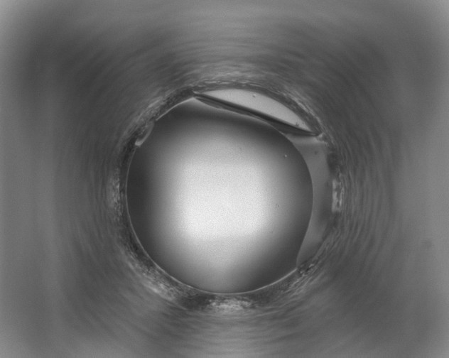 X0000064720407200602241647