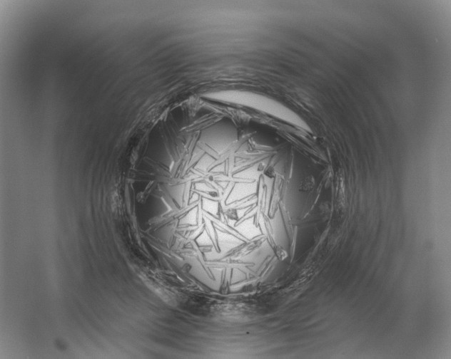 X0000064720408200602241647