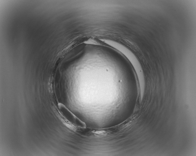 X0000064720409200602241647