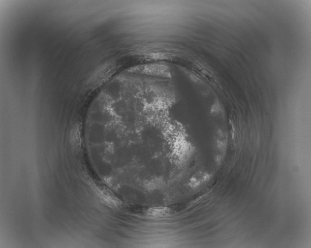 X0000064720410200602241647