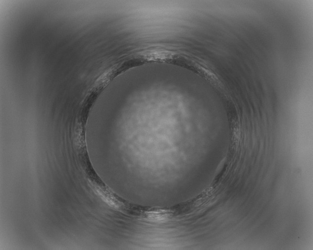 X0000064720411200602241647