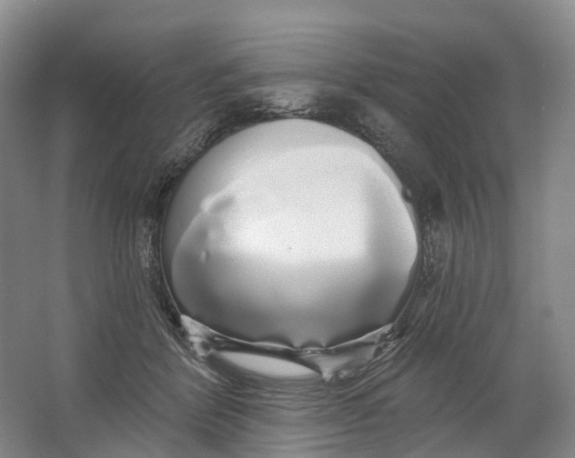 X0000064720412200602241647