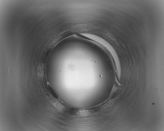 X0000064720413200602241647