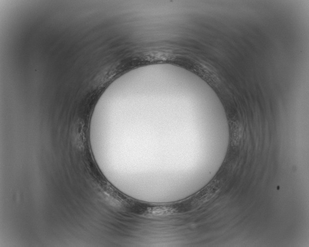 X0000064720414200602241647