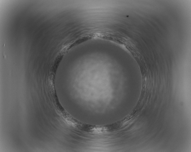 X0000064720415200602241647