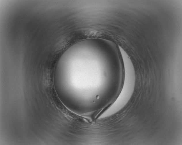 X0000064720416200602241647