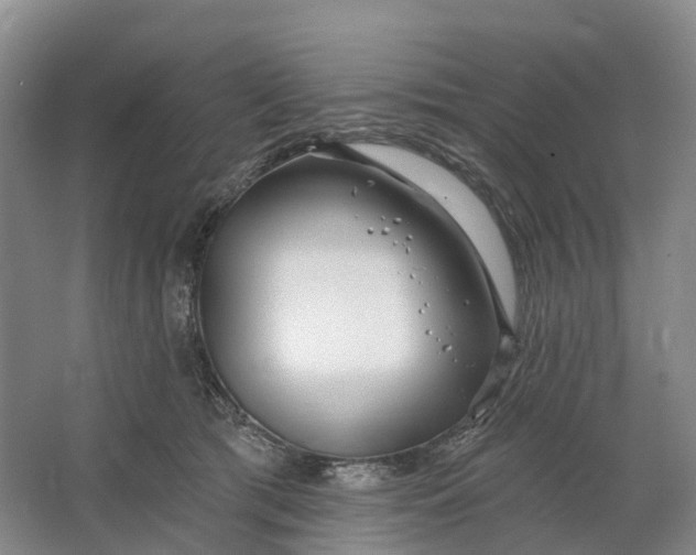 X0000064720417200602241647