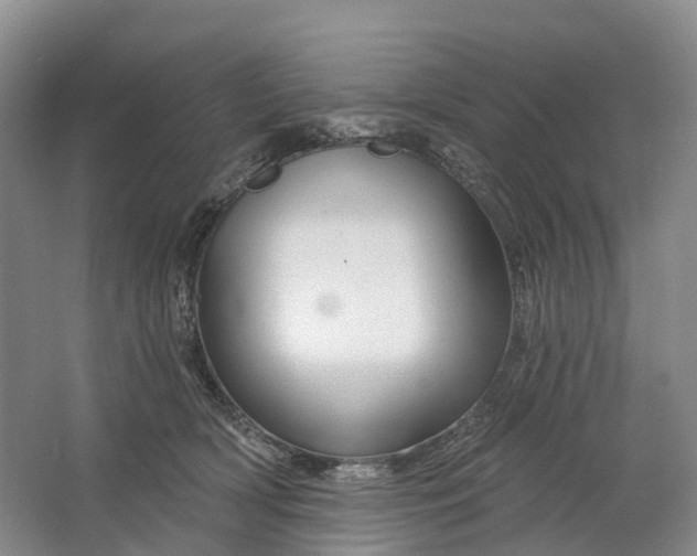 X0000064720418200602241647