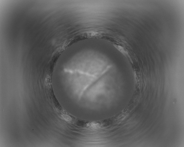 X0000064720419200602241647