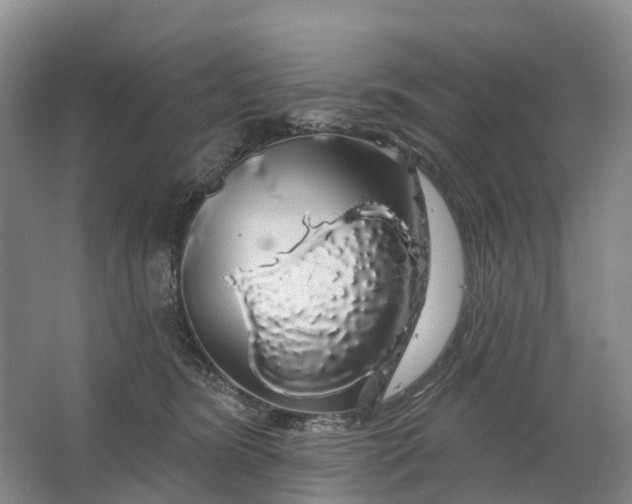 X0000064720420200602241647