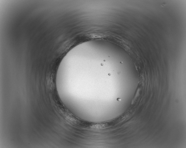 X0000064720422200602241647